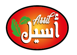 logo assil